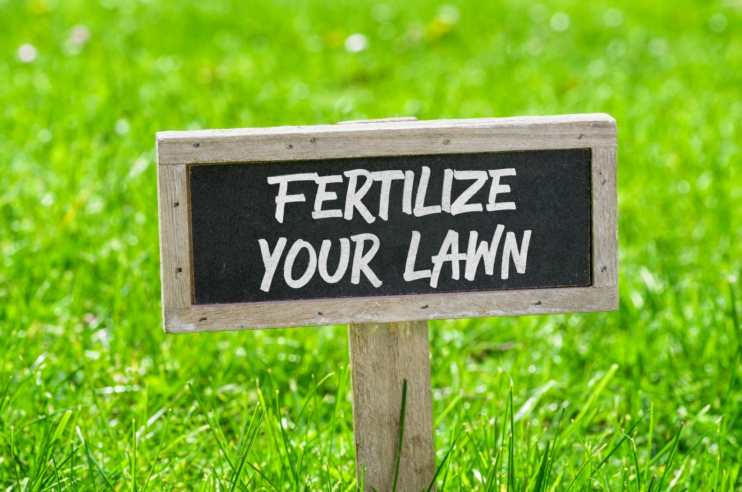 fertilize