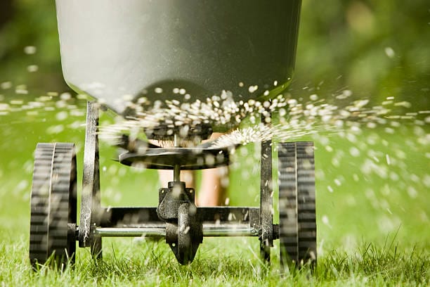irrigation with grass seed